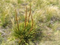 Albums/20060200-New Zealand 2006/20060317-Cook/34